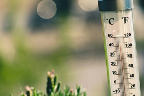 Тиждень аномальної спеки в Іль-де-Франс: 122% перевищення смертності