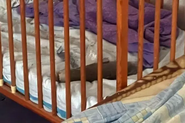 Хронологія удару по Херсону 18 серпня: боєприпас із дрона у ліжечку дитини